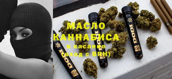 шишки Сатка
