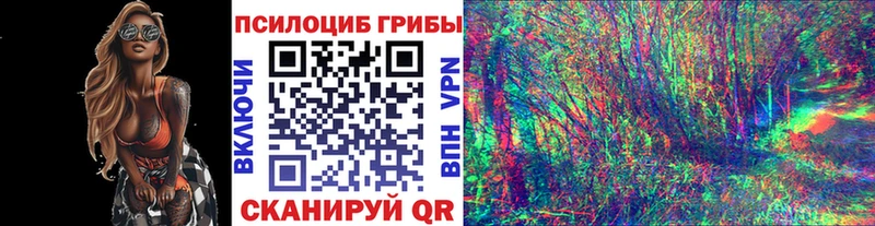 Галлюциногенные грибы прущие грибы  Салаир 